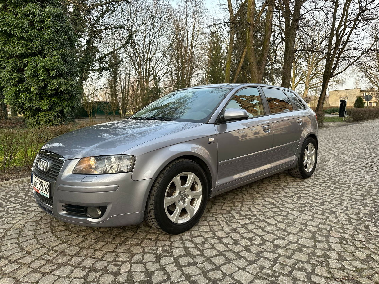 Audi A3 8p 2008r 1.9 TDI