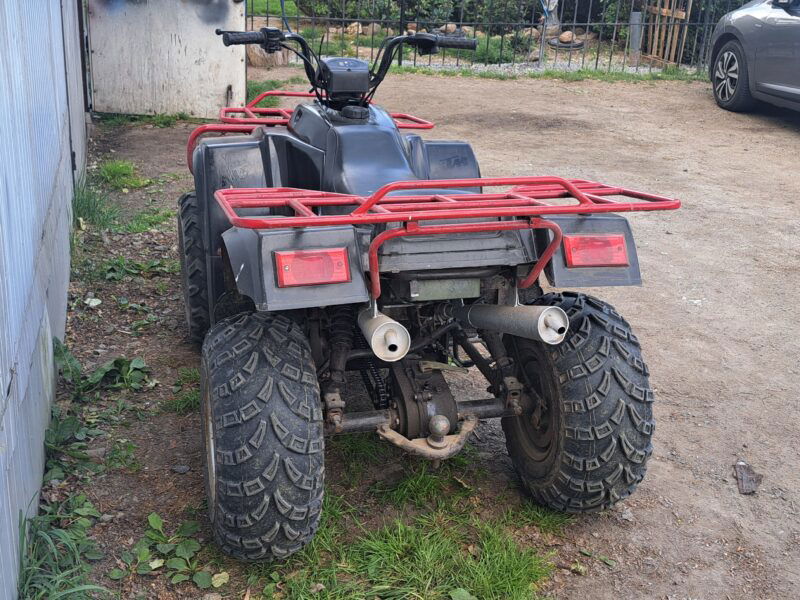 Quad Lifan 250st