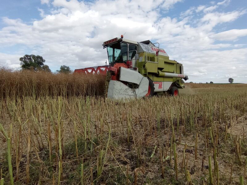 Claas dominator