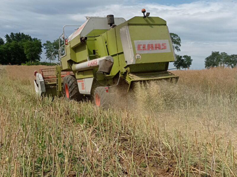 Claas dominator