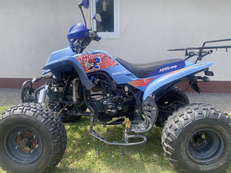 Quad Bashan 250