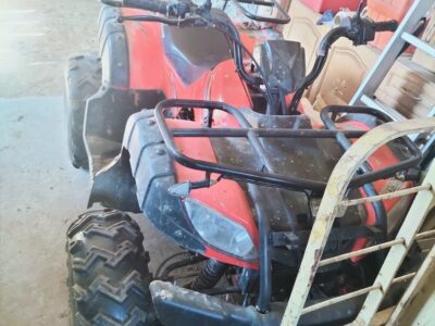 quad bashan 200