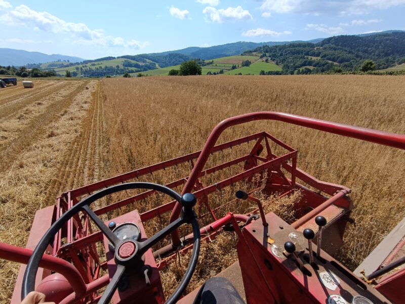 Kombajn zbożowy Massey Ferguson MF 307 kosa 3m Sieczkarnia nie 206 ani 187, 240