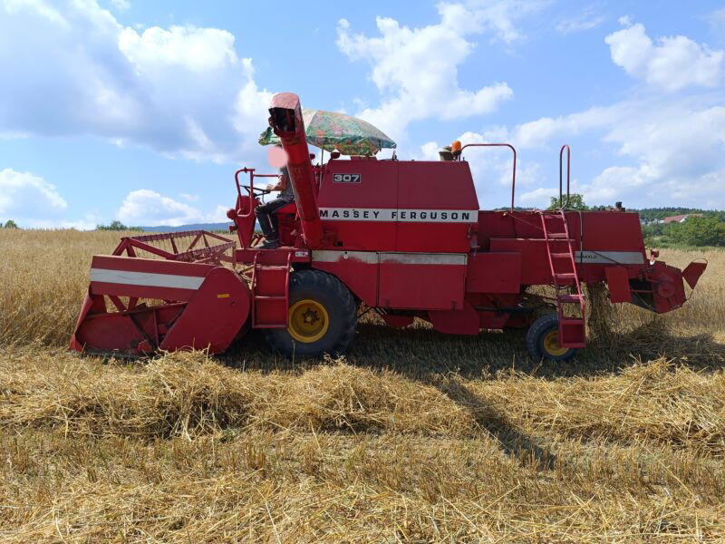 Kombajn zbożowy Massey Ferguson MF 307 kosa 3m Sieczkarnia nie 206 ani 187, 240