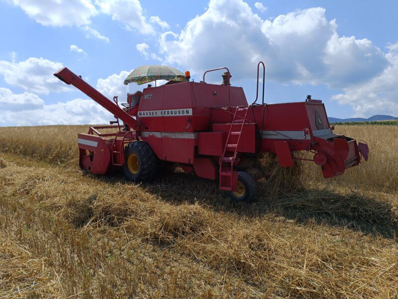 Kombajn zbożowy Massey Ferguson MF 307 kosa 3m Sieczkarnia nie 206 ani 187, 240