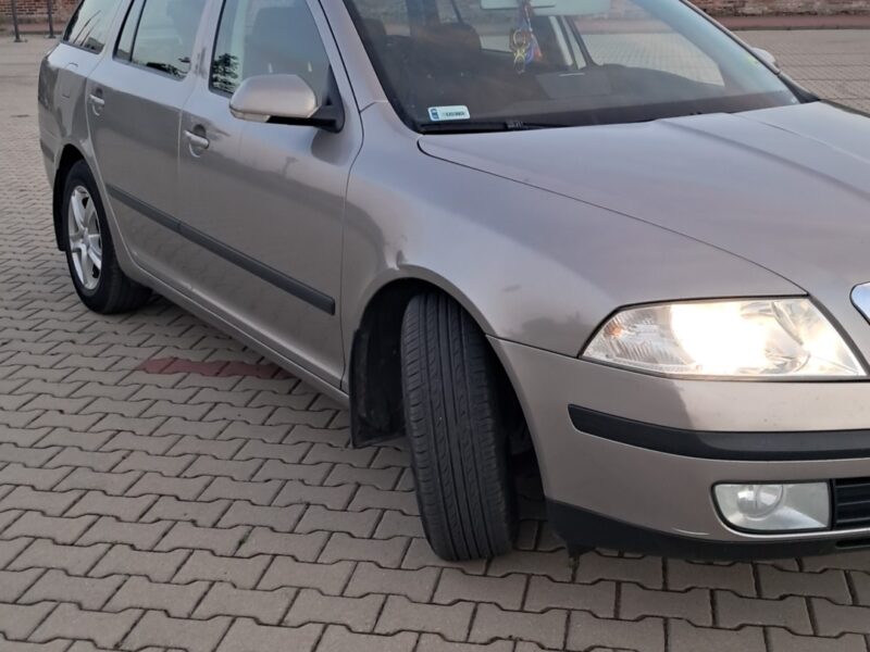 Skoda octavia 2 1.9 tdi