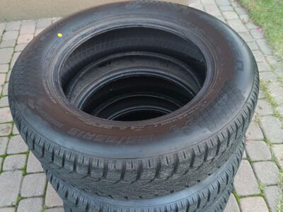 Opony zimowe Falken Eurowinter HS02 195/65r15