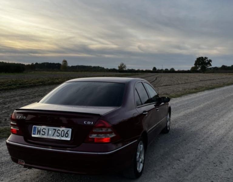 Mercedes-benz c220d