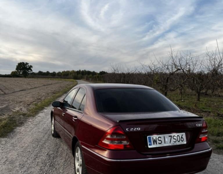 Mercedes-benz c220d