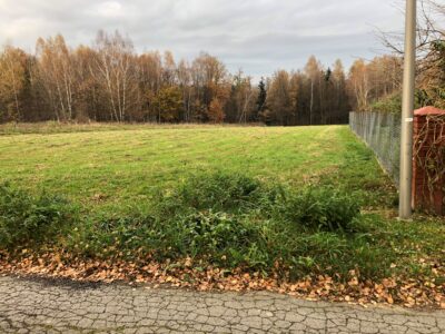 Sprzedam działkę budowlaną 33 ary - Stary Wiśnicz.