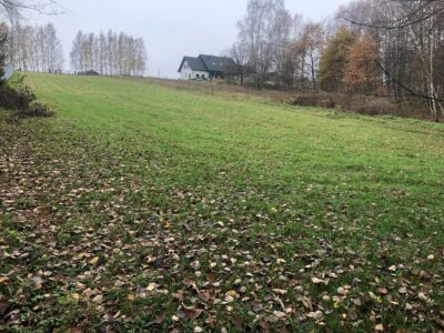 Sprzedam działkę budowlaną 33 ary - Stary Wiśnicz.